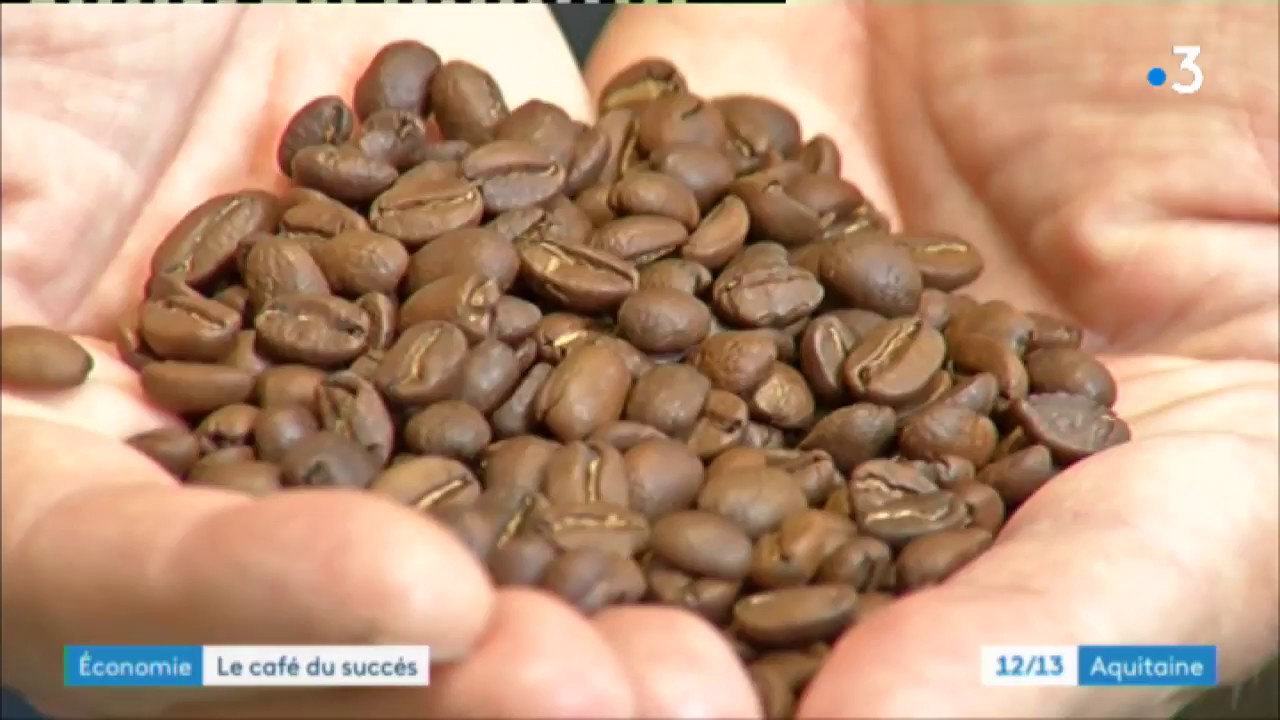 Pessac 33 : succès du café bio et équitable