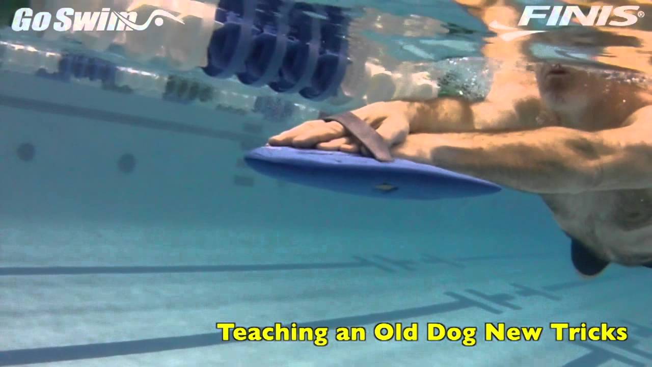All Strokes - Teaching an Old Dog New Tricks