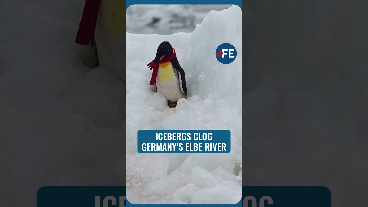 SHOCKING: Stunning Icebergs Drift Through Germany&rsquo;s Elbe River, Drawing Crowds