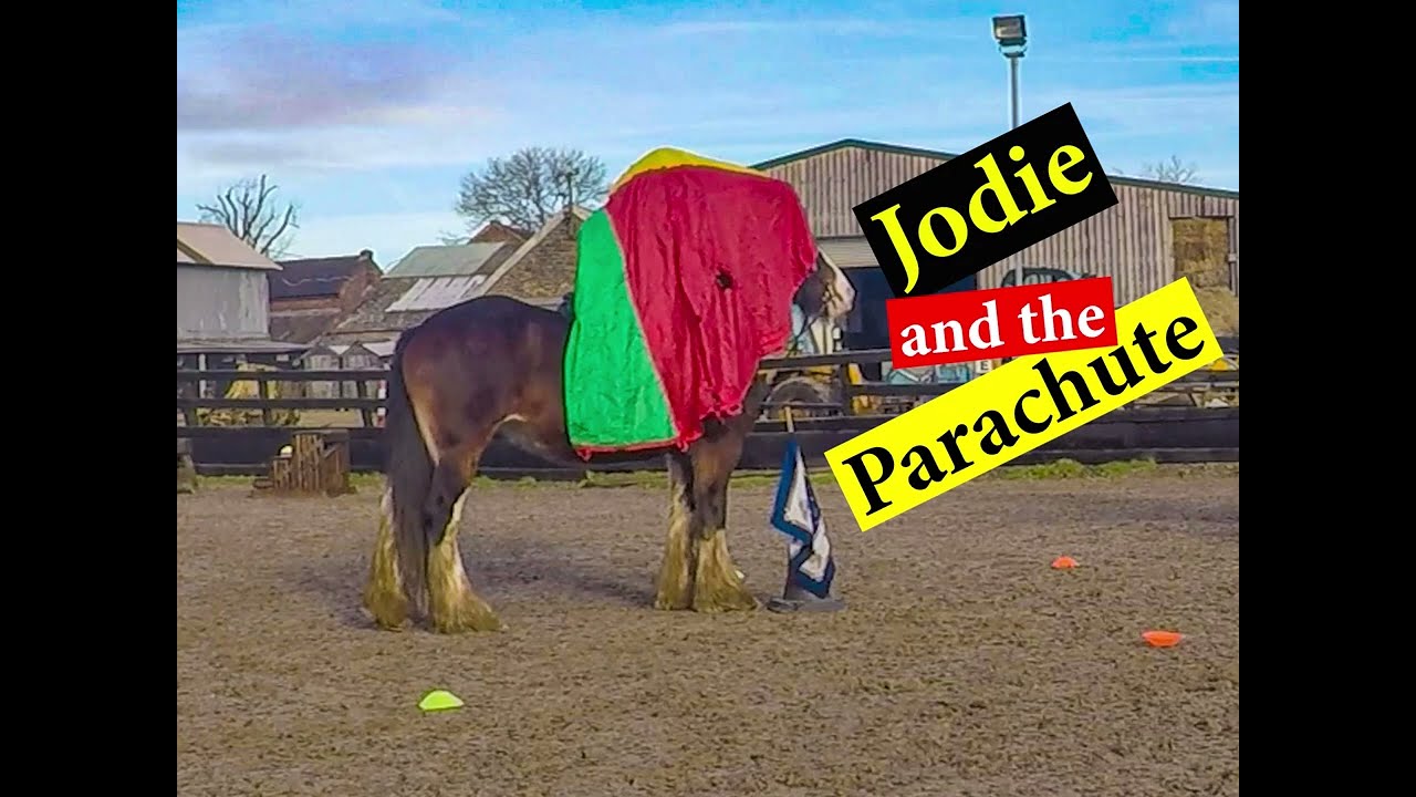 Jodie and the Parachute | Connection Training | Building Trust | Fun with my horse | Spook Busting |