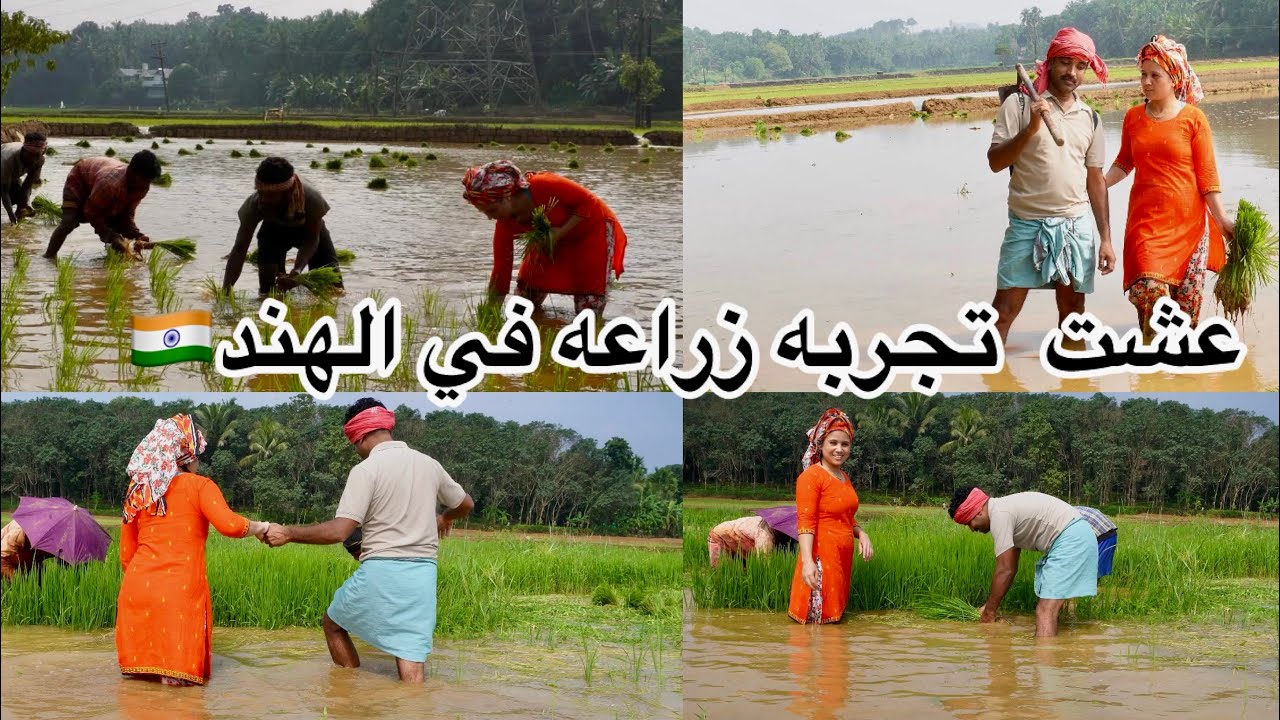 أول مغربيه تخدم في الزراعه مع لهنود 🇮🇳عشت تجربه رائعه اسرار على ناس كيرلا 😁😁