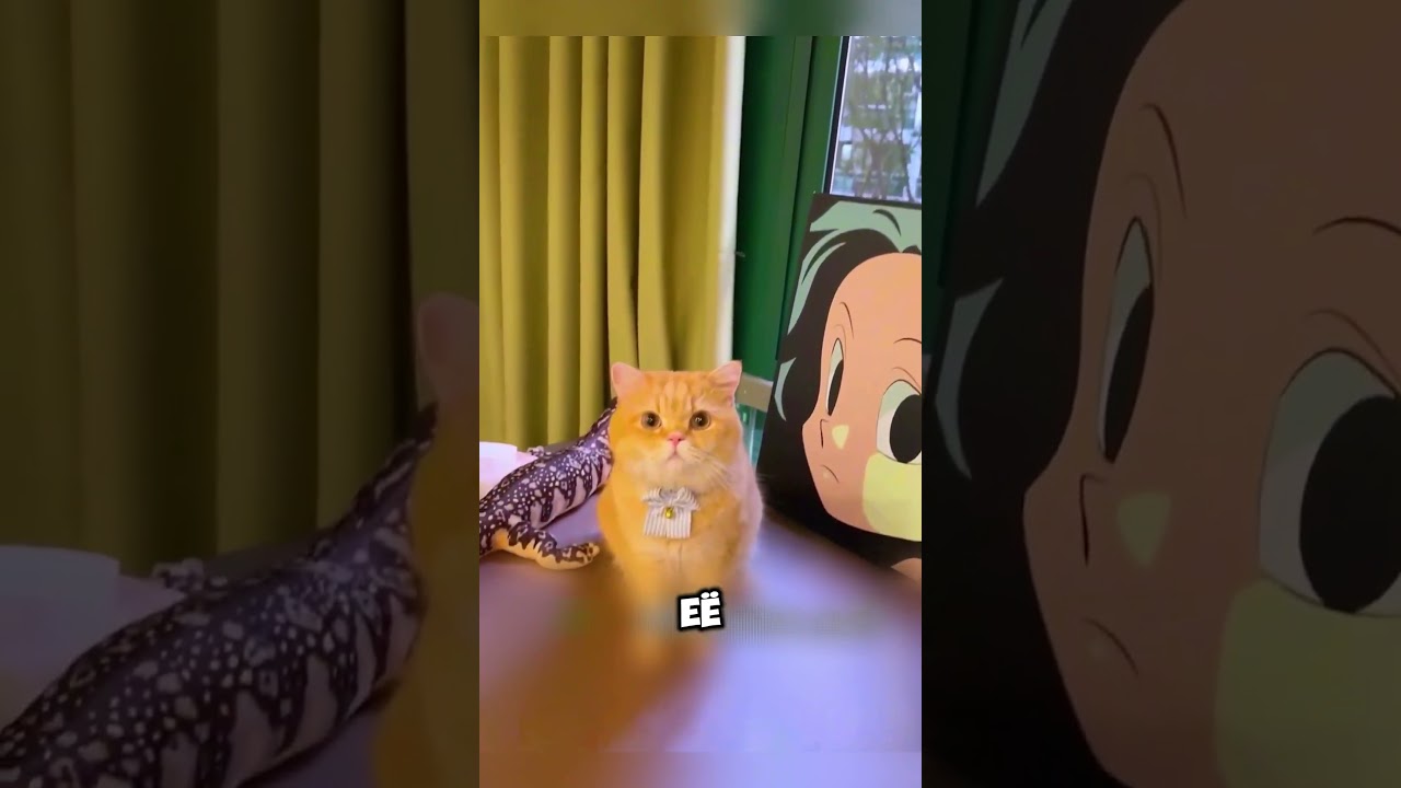 Кот предупреждал хозяйку о странной находке 🙀♠️ 