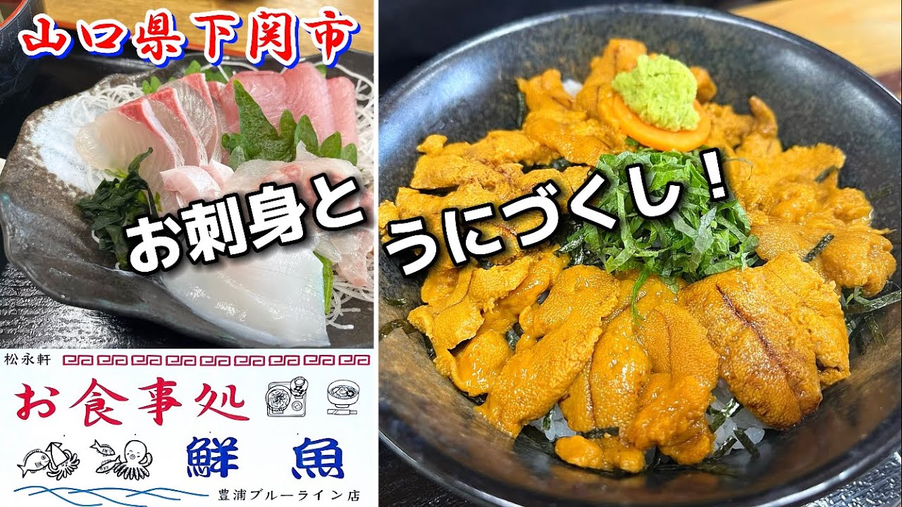 『松永軒 豊浦ブルーライン店』お刺身定食・うにづくし丼！下関市【ランチ】