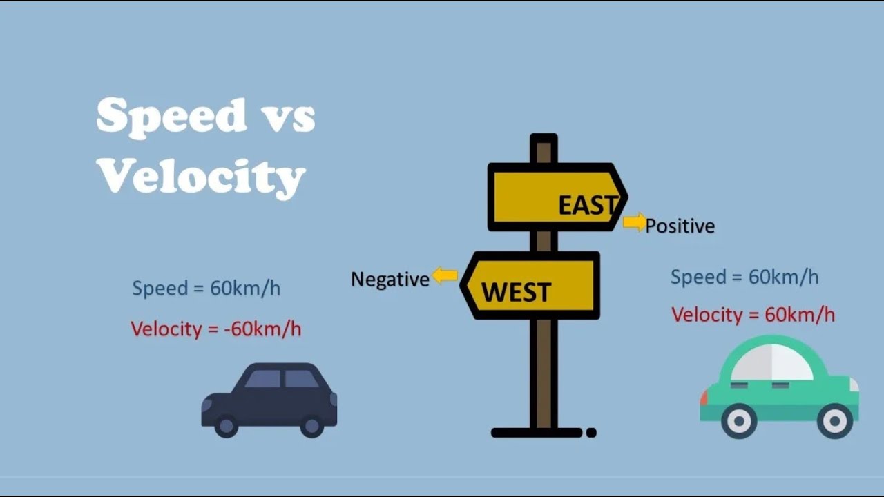 Kinematics - What is the difference between Speed and Velocity? (Cambridge iGCSE O Level Physics)