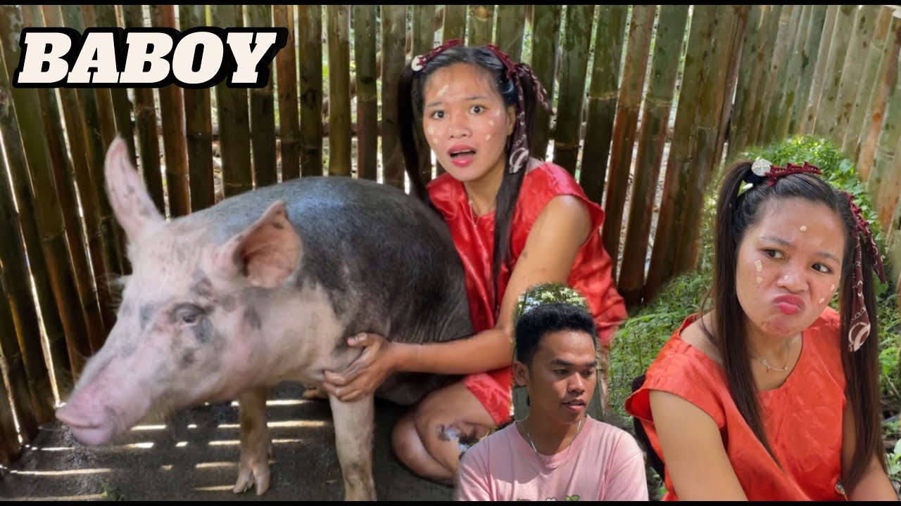 Baboy
