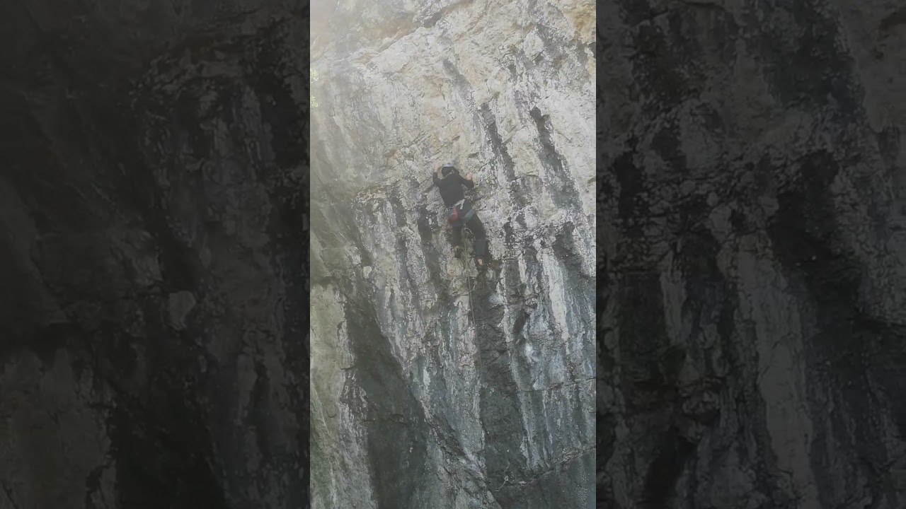 7c Lara Rene Wall