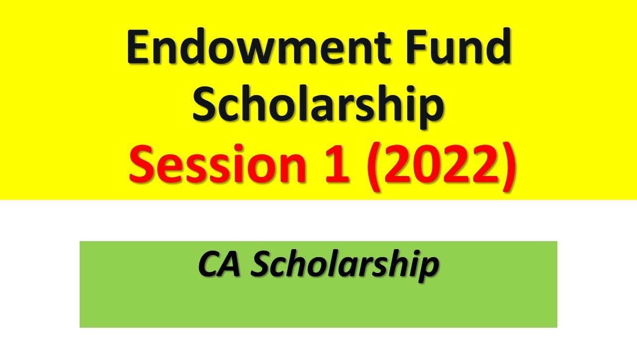 How to Apply for CA Scholarship  || Students&rsquo; Endowment Fund Session