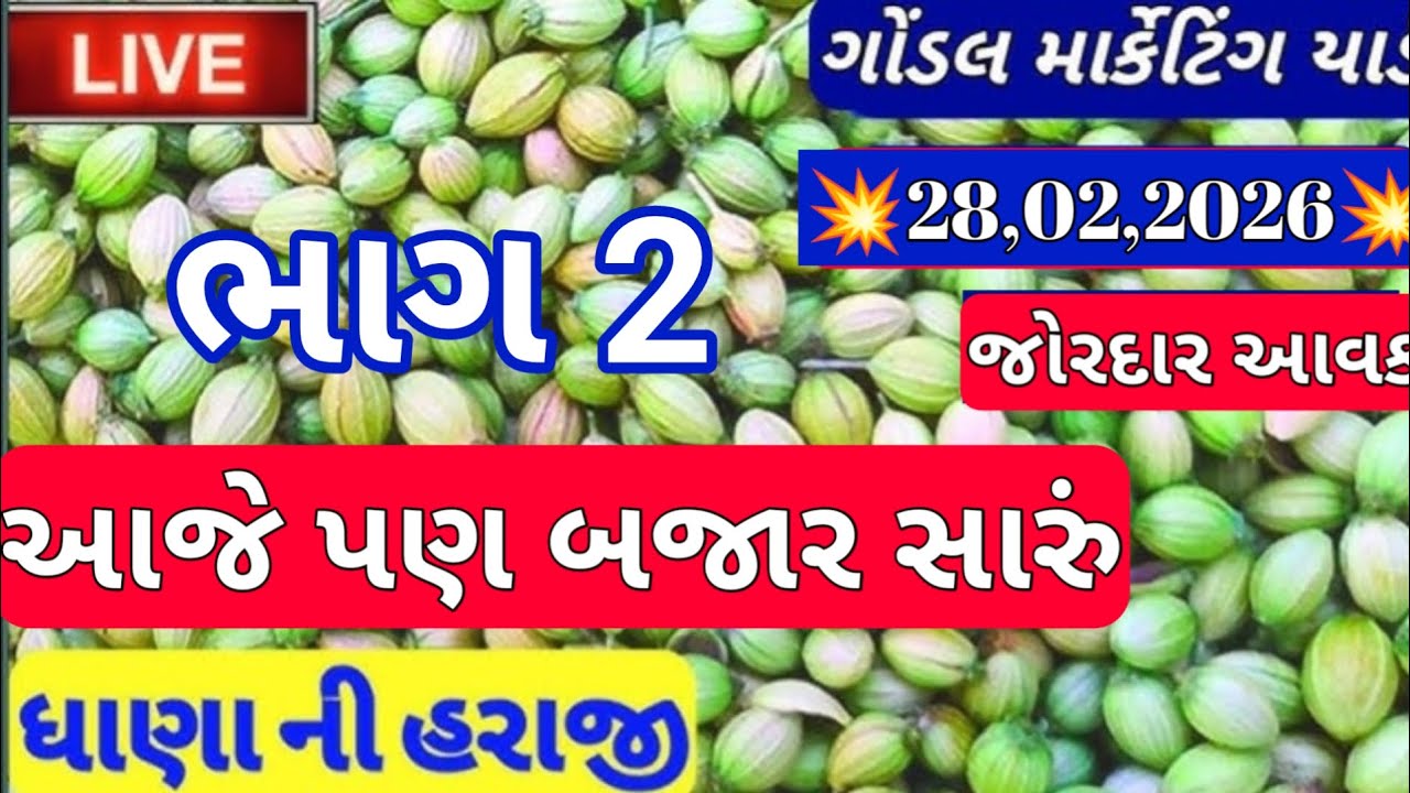 નવા ધાણા ના બજાર ભાવ / ગોંડલ ધાણાના બજાર ભાવ / નવી ધણી ના બજાર ભાવ / 28,02,2026