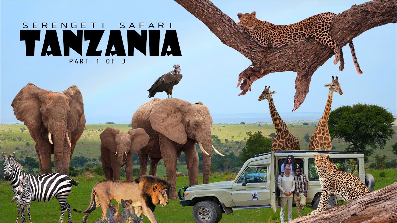 Tanzania's Serengeti: The Most Incredible Safari Experience