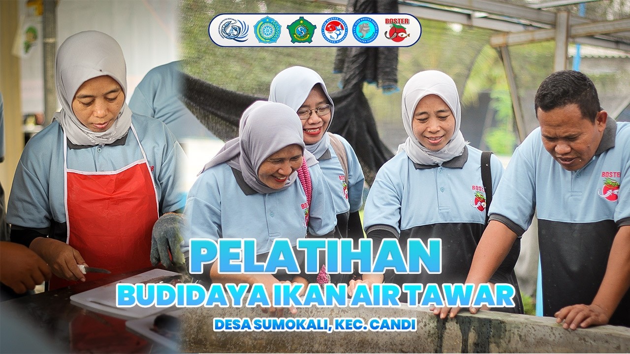 Pelatihan Budidaya Ikan Air Tawar Desa Sumokali, Kec. Candi Di P2MKP Fish Boster Centre