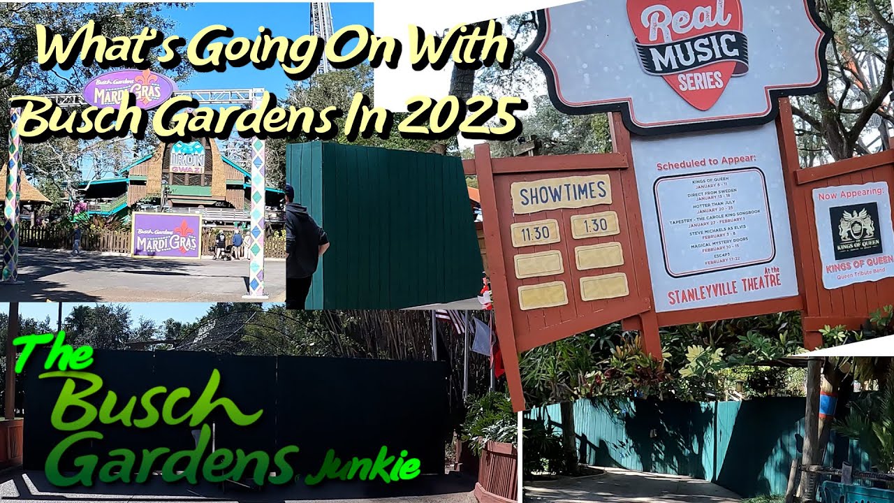 What's Going On With Busch Gardens Tampa In 2025?