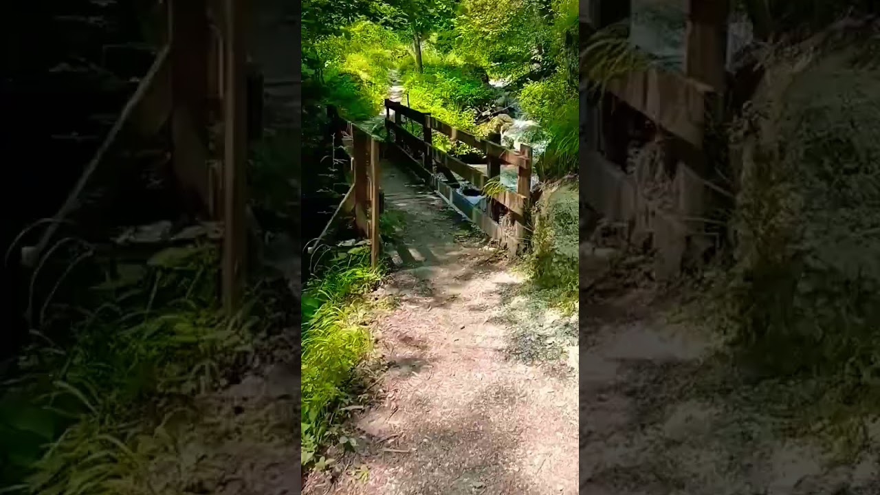 Sentiero dei CICLAMINI - Macra - Valle Maira (CN) 🌸🌸🌸 