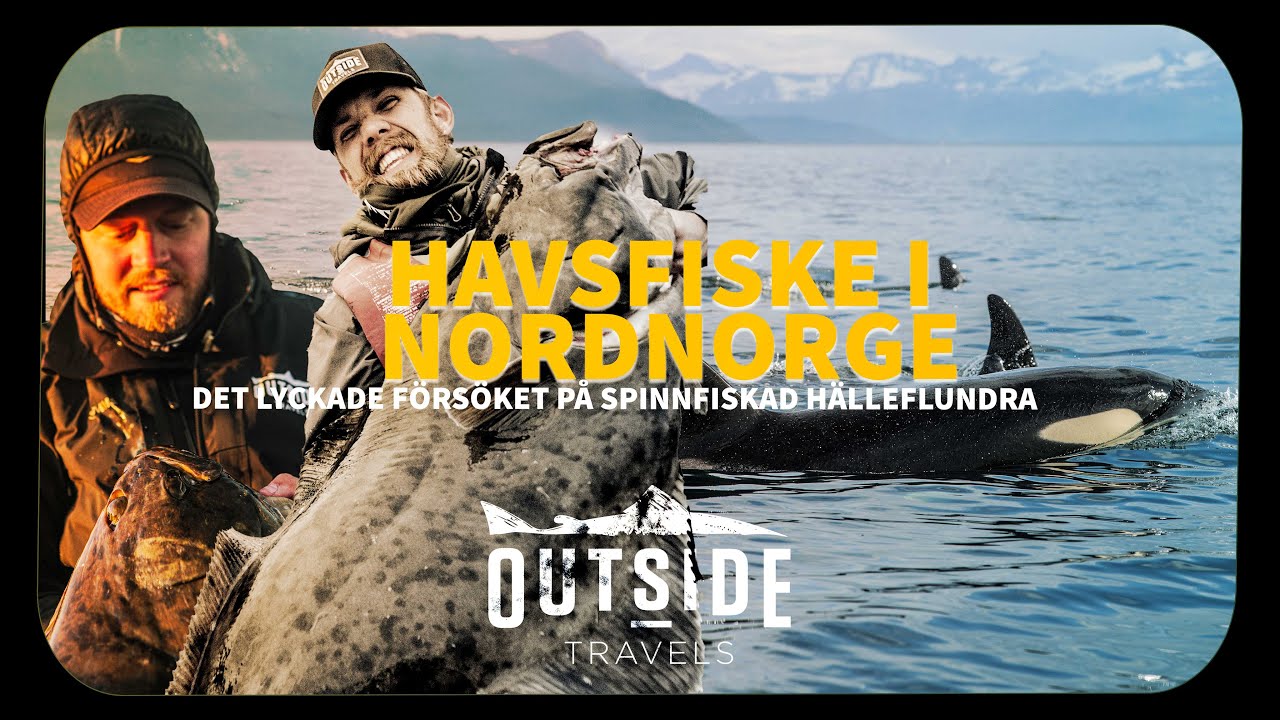 Spinnfiske efter hälleflundra i Nordnorge