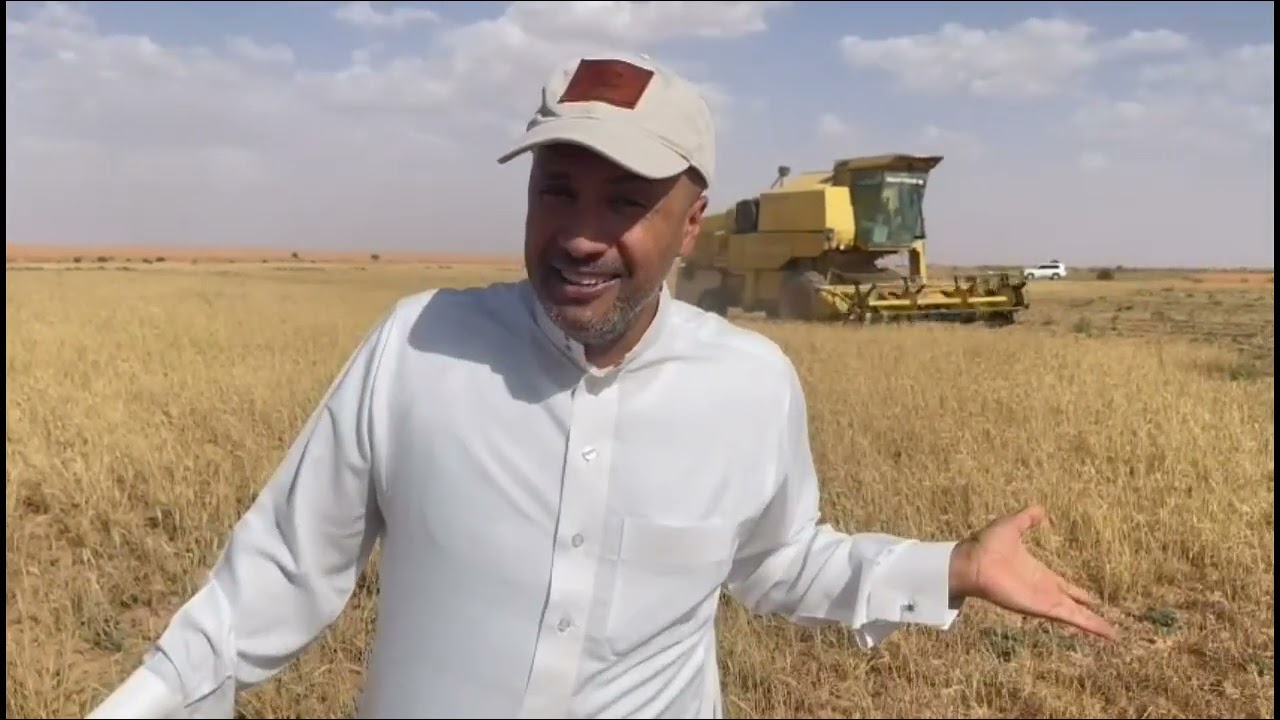 ( الهلباء والمعيَّه ) سقاهما الله بعد انقاذ الكليبين اليتيمين في صحراء المستوي .