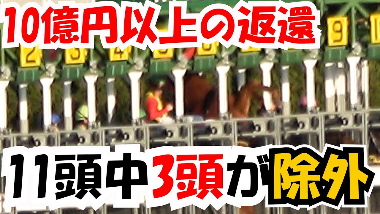 10億円以上が返還‼ 11頭中3頭除外となった理由とは⁉ 現地映像
