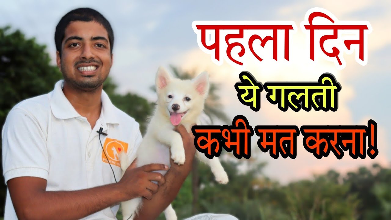 One important Care tips for first day puppy at your home 🔥