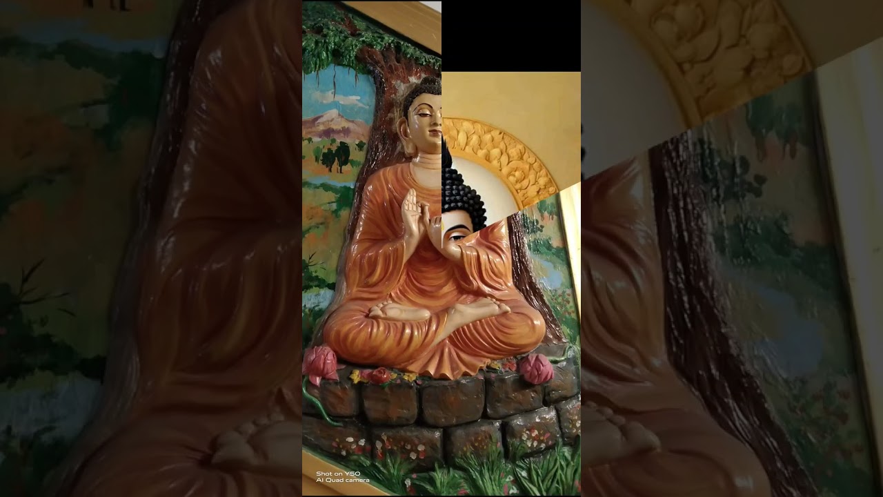 Subho Buddha Purnima 🙏🌹🙏buddho prarthona#viral