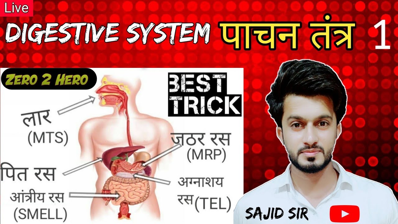 digestive system in hindi full details by Sajid Khan Sir | पाचन तंत्र khan sir | Easy Science