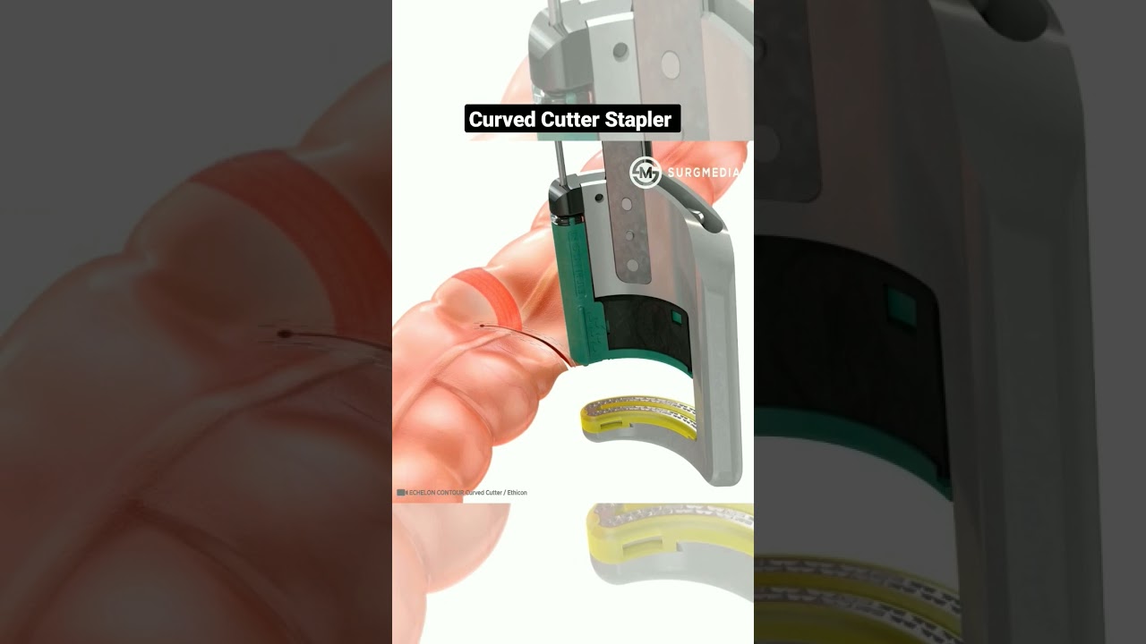 How a Curved Cutter Stapler Works: Cutting and Stapling Tissue in Surgery #medical #animation #learn