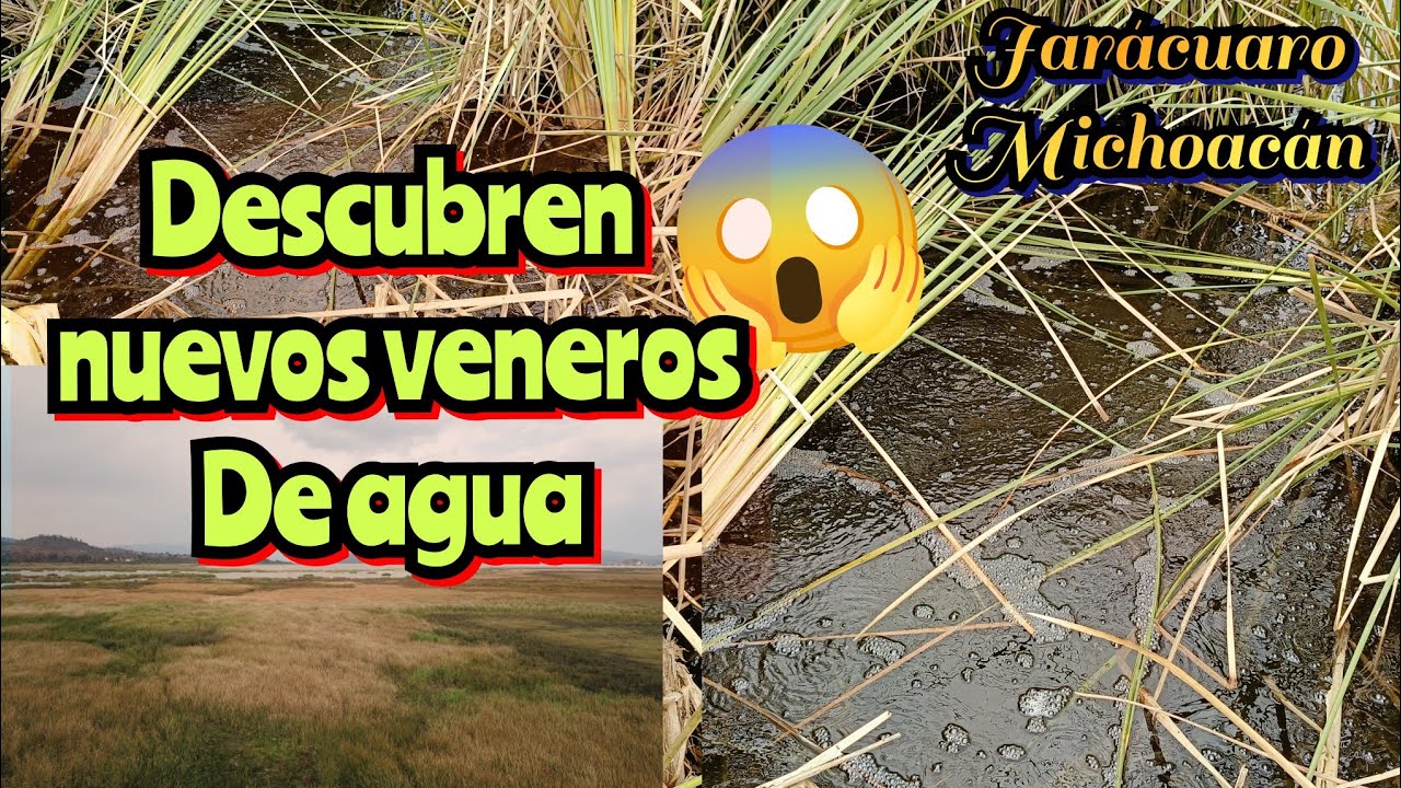 ❗🛑DESCUBREN NUEVOS VENEROS DE AGUA❗🛑EN JARÁCUARO MICHOACÁN 🇲🇽🙏😱