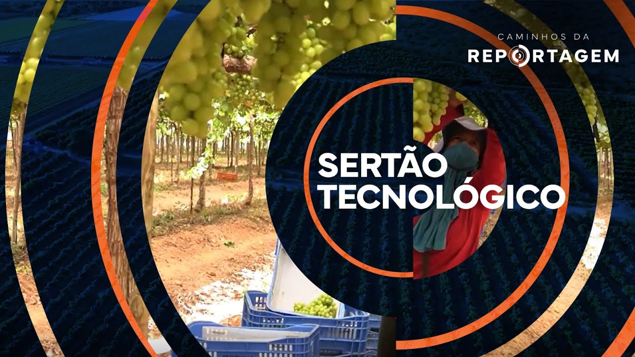 Caminhos da Reportagem | Sert&atilde;o tecnol&oacute;gico