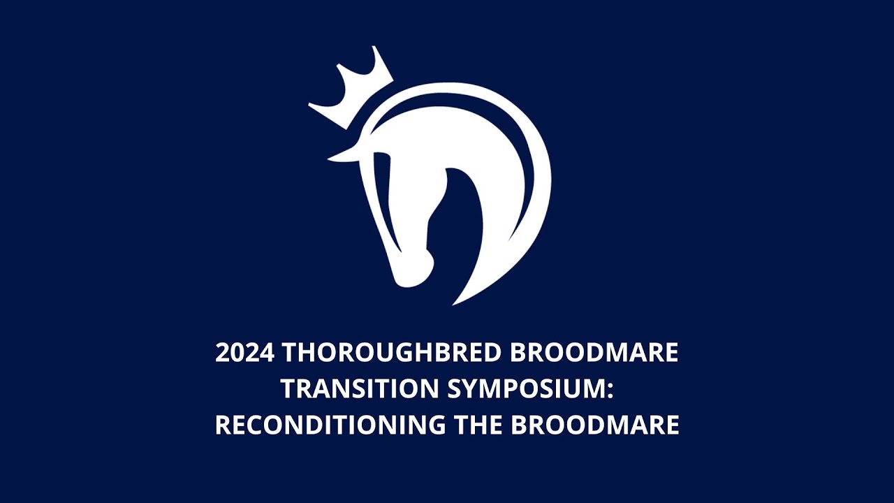 2024 Thoroughbred Broodmare Transition Symposium: Reconditioning the Broodmare