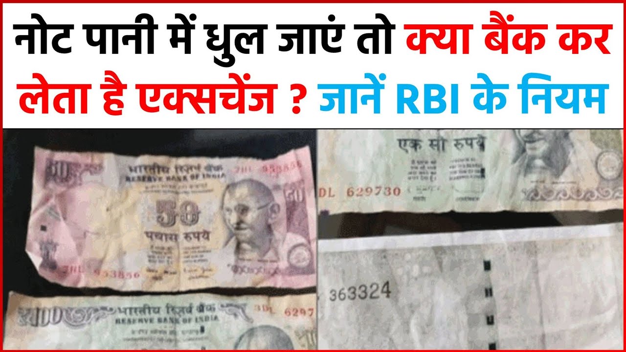 नोट पानी में धुल जाएं तो क्या बैंक कर लेता है एक्सचेंज ? जानें RBI के नियम