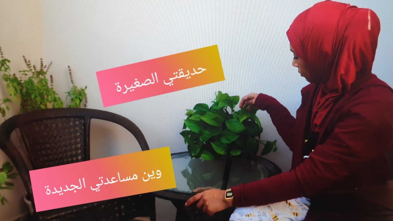 يوم من حياتي💕 تعالو شوفو حديقتي الصغيرة \وين المساعدة الجديدة ؟ وليش رجعتها