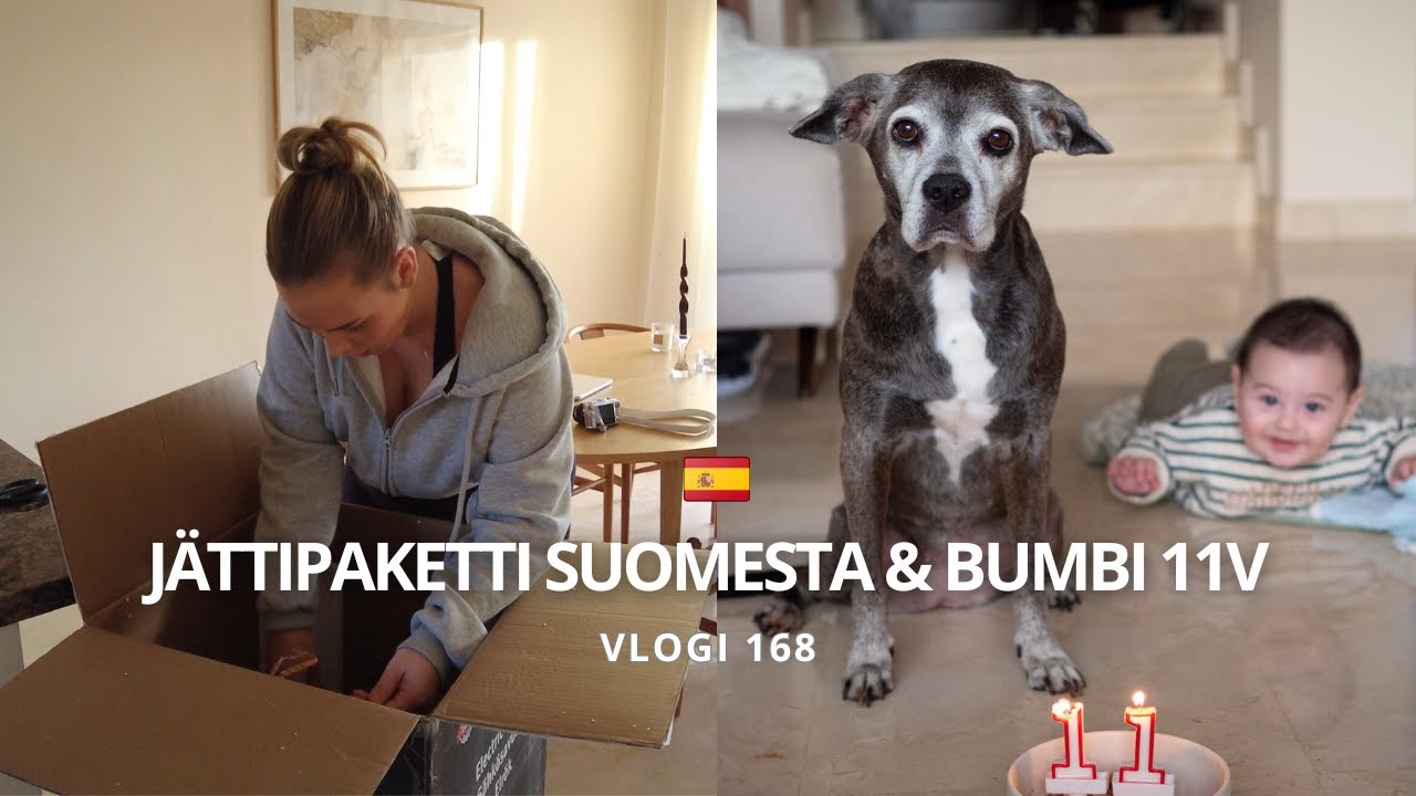 Paketti Suomesta, ruokakassin sisältö & mummelin synttärit | VLOGI 168 | Jenna Claudia