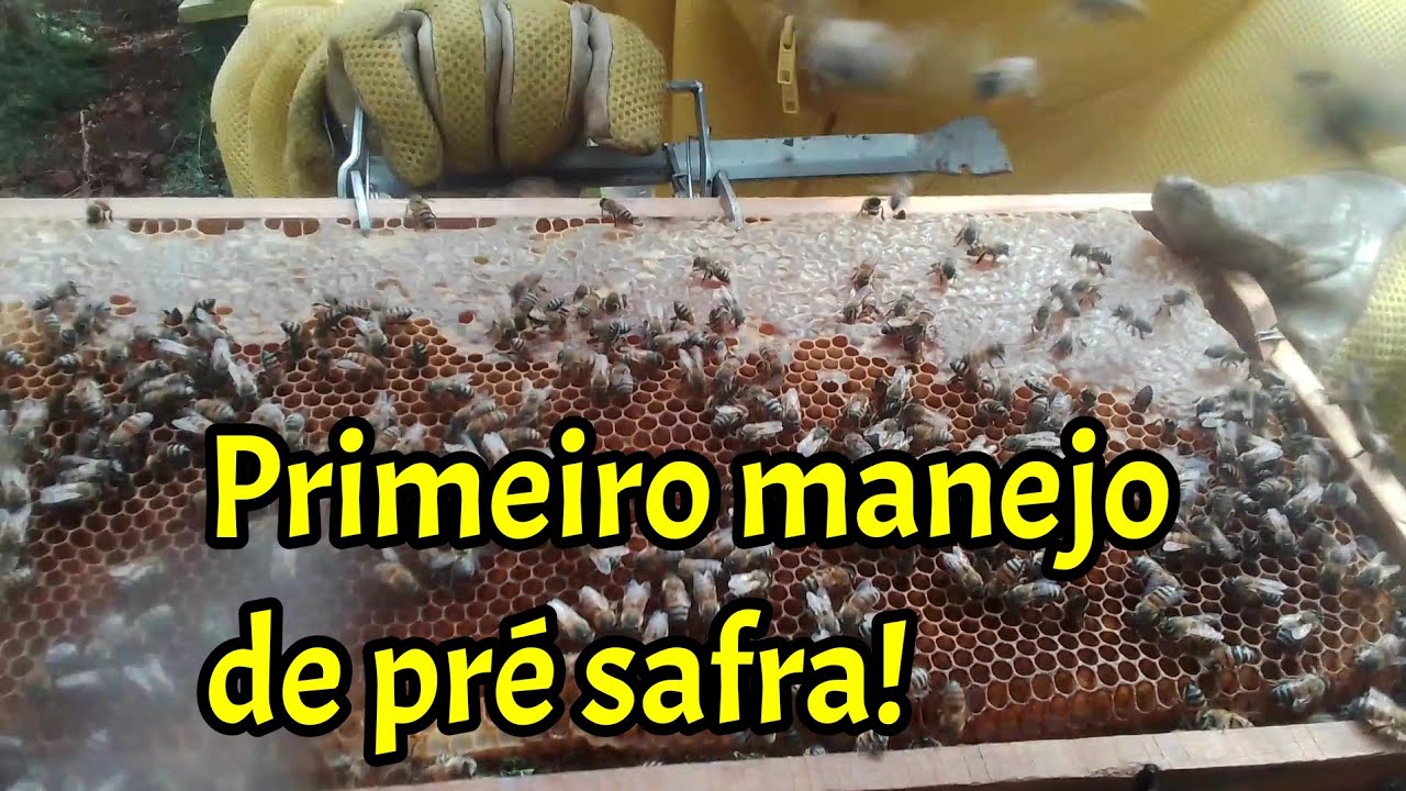 O que fazer na pré safra? Primeiro manejo!