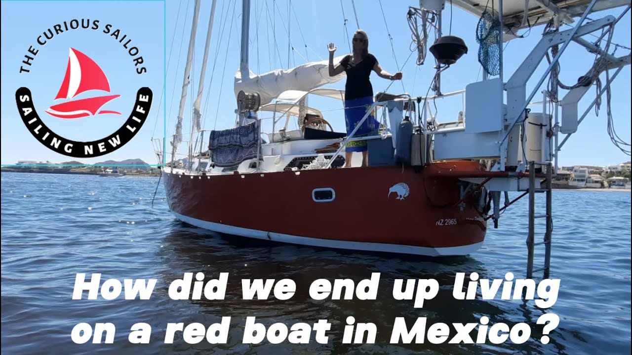 Getting (a) New Life | The Curious Sailors