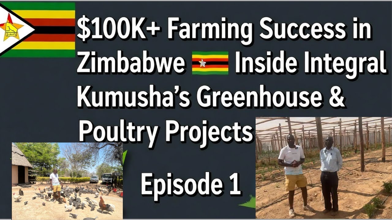 $100K+ Farming Success in Zimbabwe 🇿🇼 | How Dr. Taranhike & Mai Chimuti Built a Greenhouse Empire!
