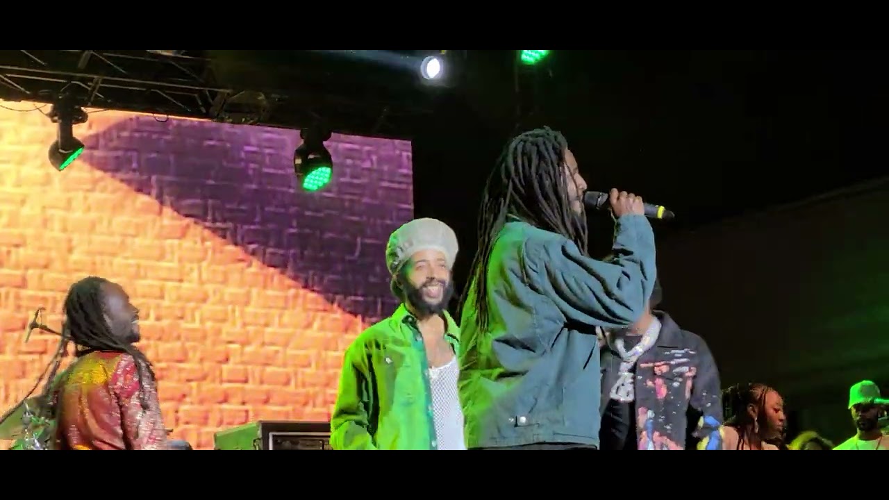 Reggae + Dancehall - Lit Festival 🇯🇲🎉 #protoje #popcaan #chronixx #jesseroyal