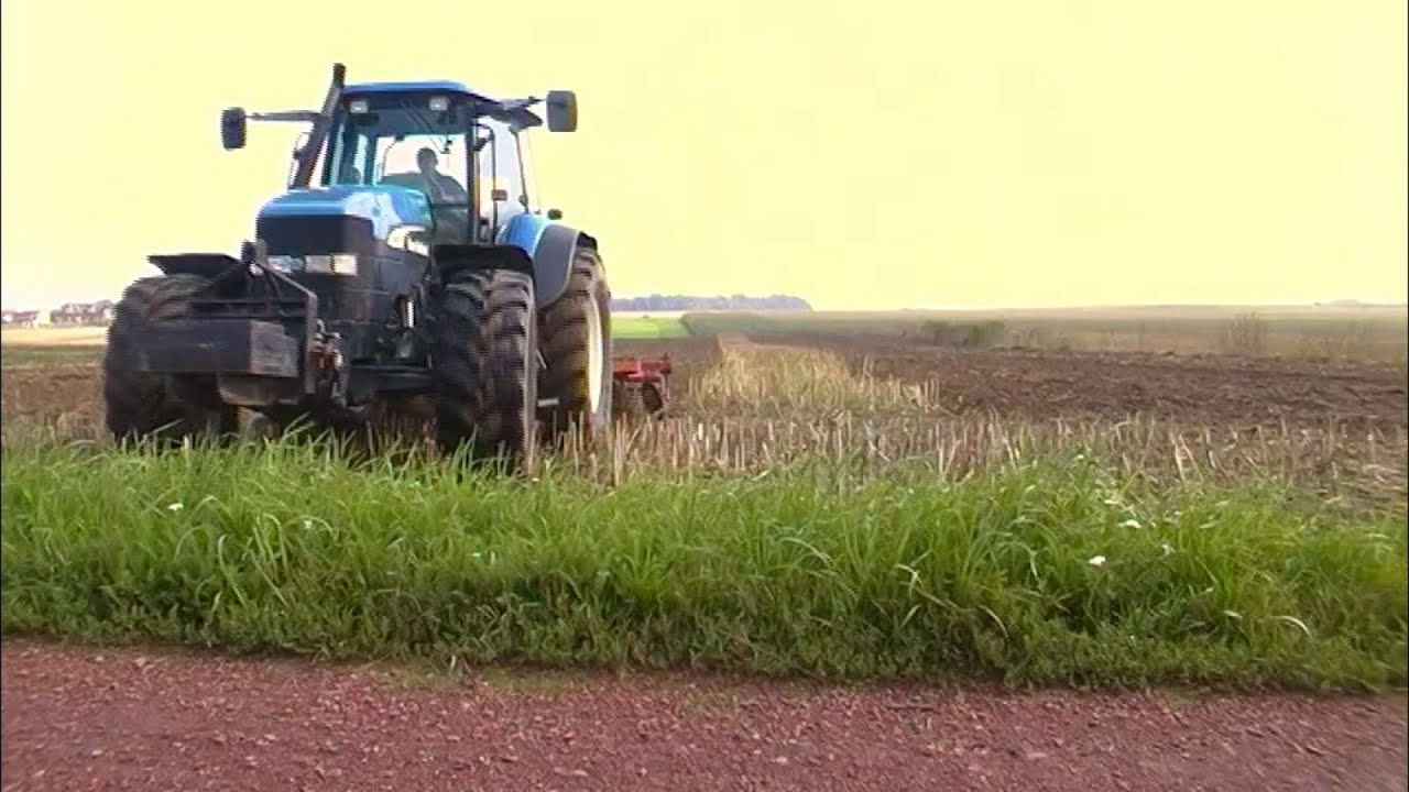 Gruberowanie 2011/New Holland TM175/Brodnica