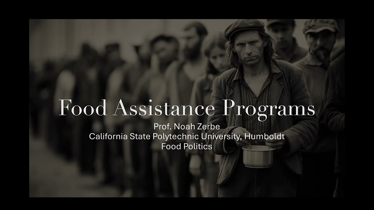 Inside America's Food Assistance Programs: Tackling Hunger and Food Insecurity