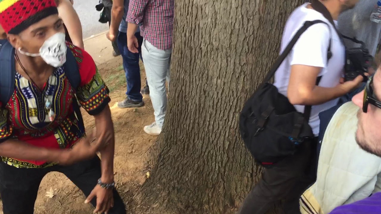 Charlottesville, VA, Unite the Right Rally / Stopping a Fight