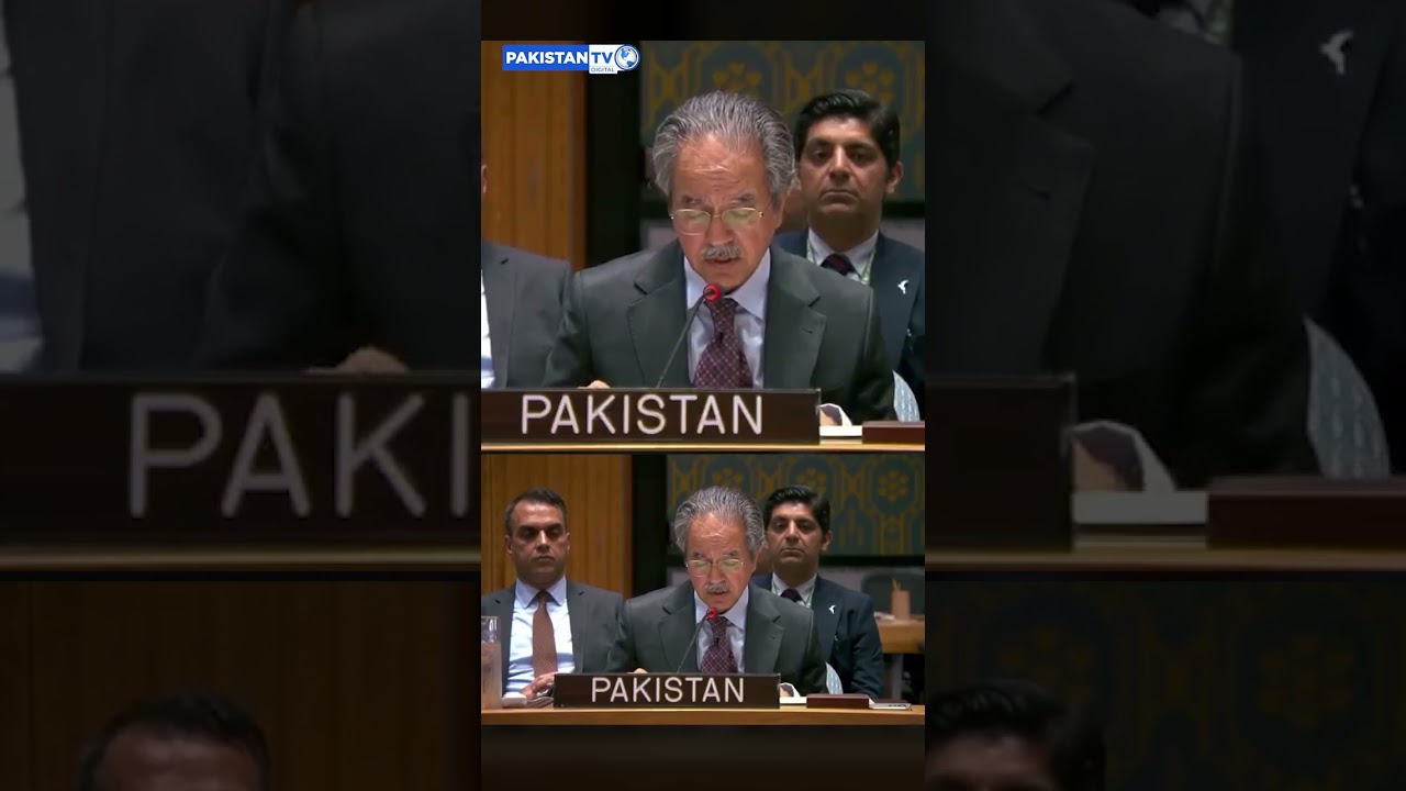 &lsquo;Concrete, verifiable action&rsquo;: Pakistan's UN ambassador urges Taliban to act against terrorists