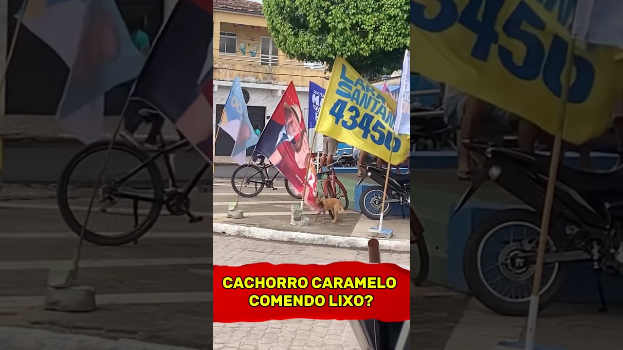 LULA E O CACHORRO CARAMELO #lula #cachorrocaramelo #direita #patriota #noticia #jornal