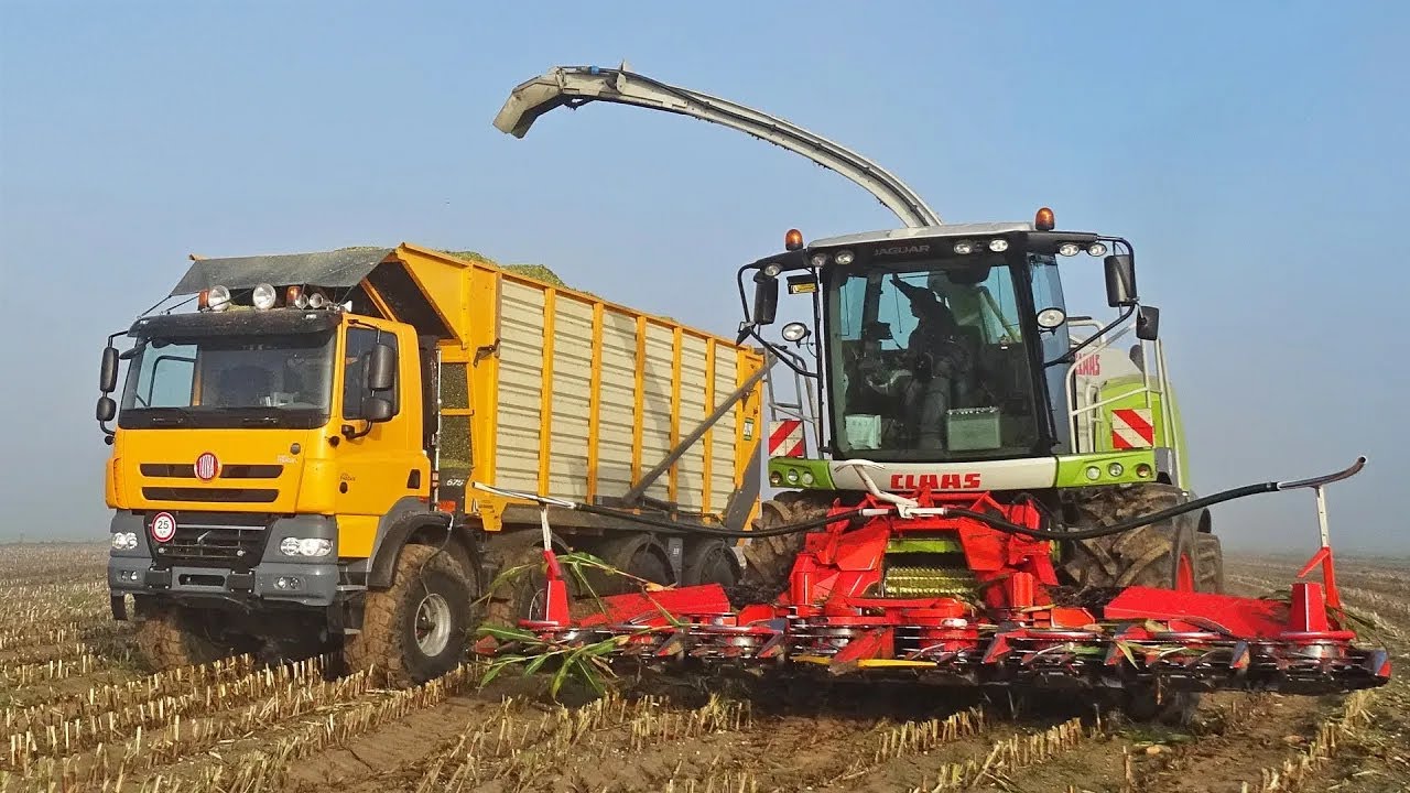 Mais Silage | Tatra Phoenix Agritruck + Claas Jaguar + Axion | JWD Markvoort | 2020