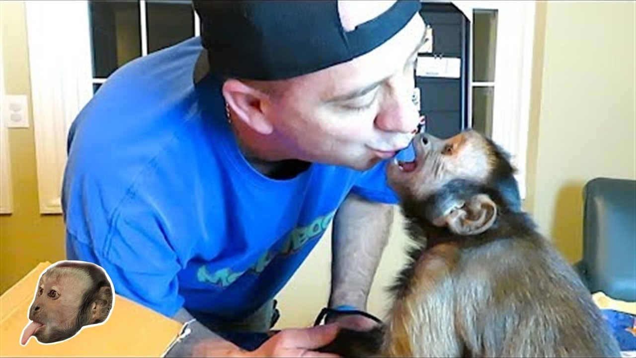 Capuchin MonkeyBoo LOVES FanMail!