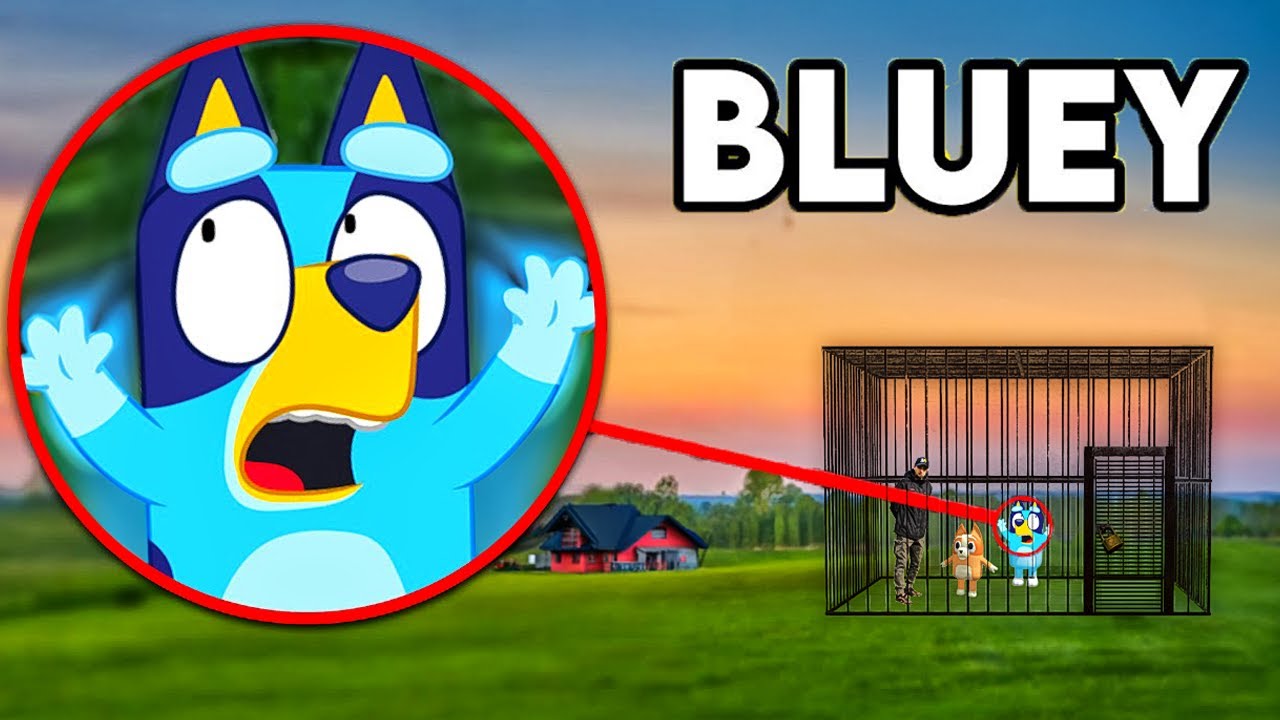 Meine Drohne nimmt Bluey.EXE gegen Bingo in der Realität auf!