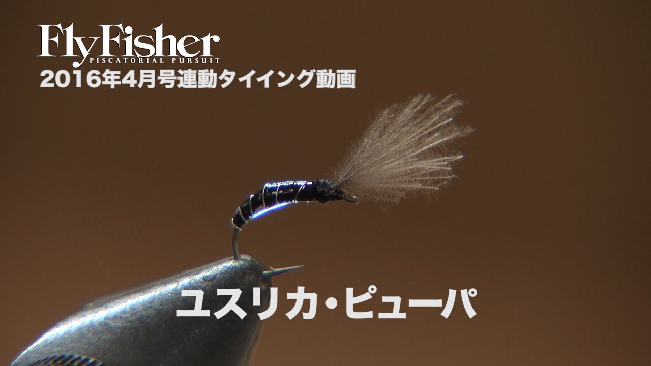 ユスリカ・ピューパのタイイング【FlyFisher2016年4月号より】