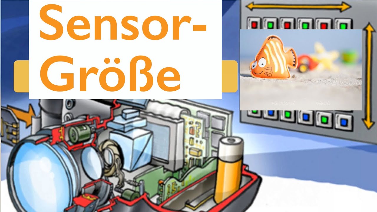 Lexikon Sensorgr&ouml;&szlig;e: Wu&szlig;test Du, dass Sch&auml;rfentiefe nur mit einem gro&szlig;en Sensor funktioniert?