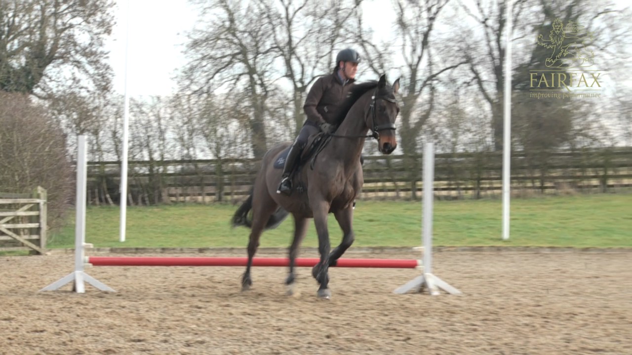 Hoy Masterclass in Minutes - 4 Jumps on a Circle