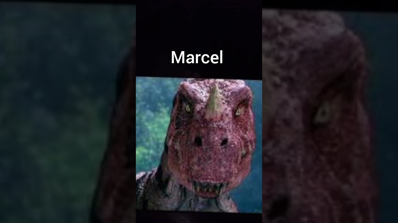 Twoje imię tw&oacute;j dinozaur PART 3