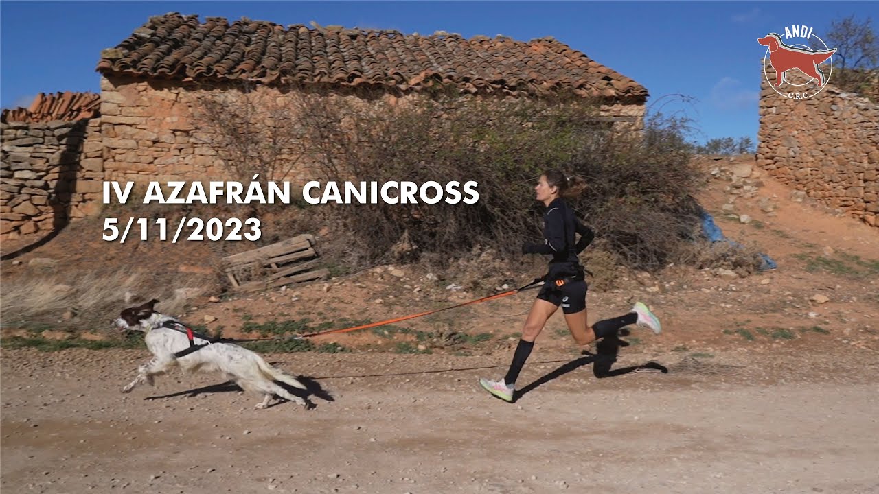 VIII DESAFIO ARAGONÉS DE CANICROSS · IV AZAFRÁN CANICROSS · Blancas (Teruel) · Debut de Arbi