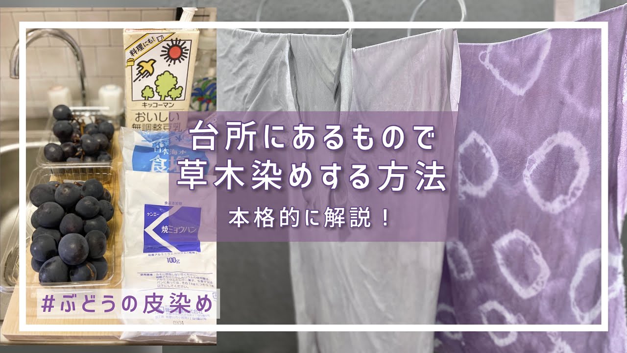 【草木染め】キッチン用品で家でもできる染め方[ぶどうの皮染め]