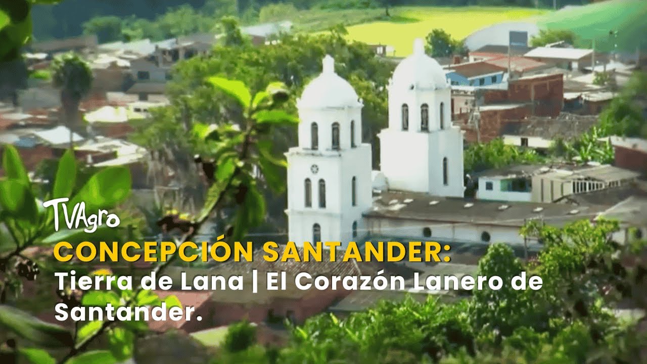 Concepción Santander: Tierra de Lana | El Corazón Lanero de Santander -TvAgro por Juan Gonzalo Angel