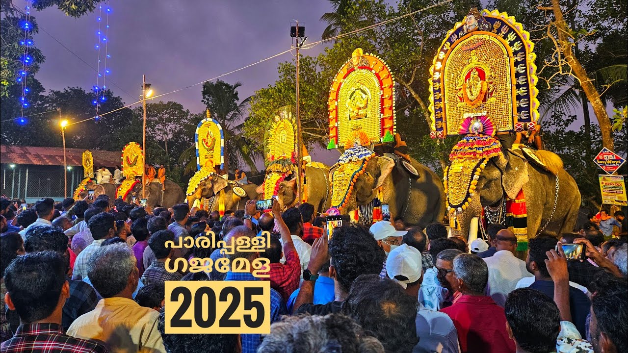 Kodimoottil Temple Parippally | Parippally Gajamela | #aana #pooram #ulsavam #gajamela #pooram