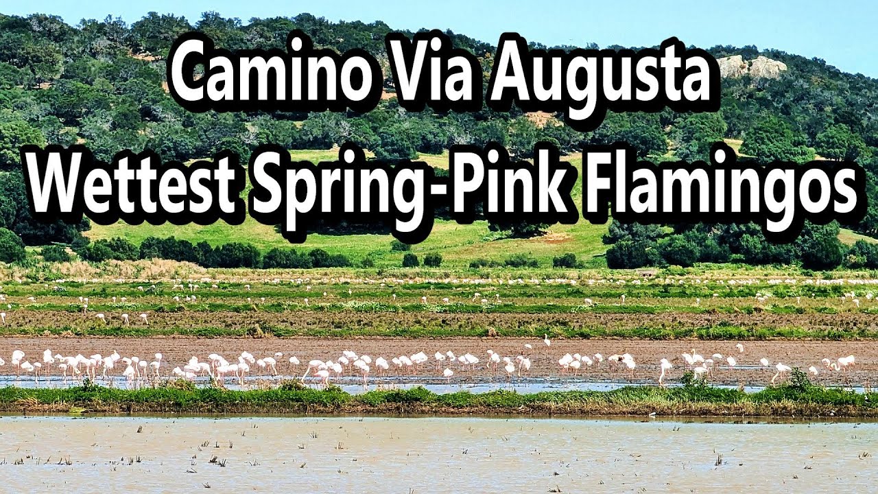 Путь через Аугусту Кадис в Севилью #походы #camino #caminodesantiago